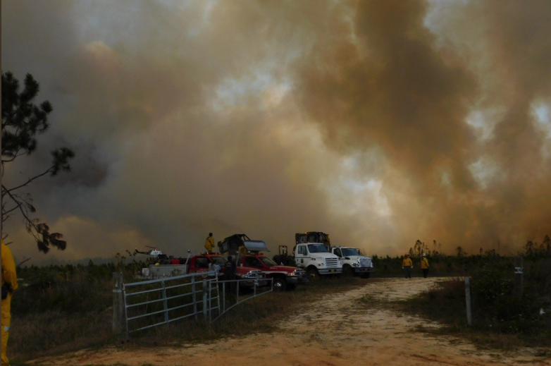 Wildfire Outbreak in Florida Forces Evacuations